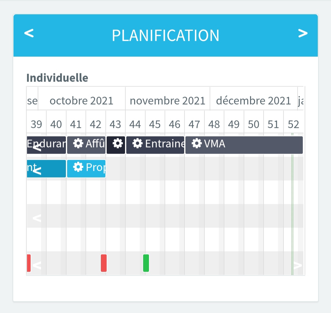 programme sportif à distance