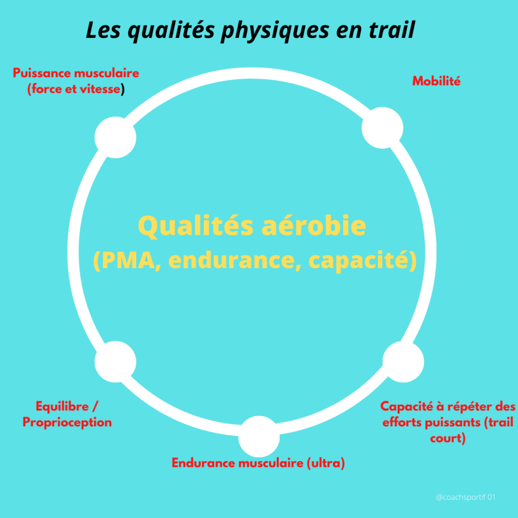 Les qualités physiques en trail